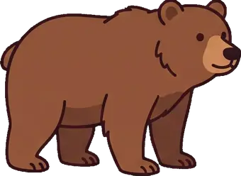 The bear